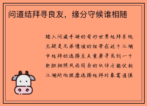 问道结拜寻良友,缘分守候谁相随